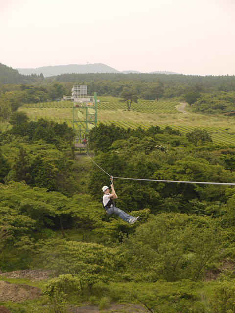 【濟州島-中部】茶喜然綠茶博物館+Zip Line高空滑索初體驗+洞窟咖啡廳 ( 金賢重 也來玩~)！