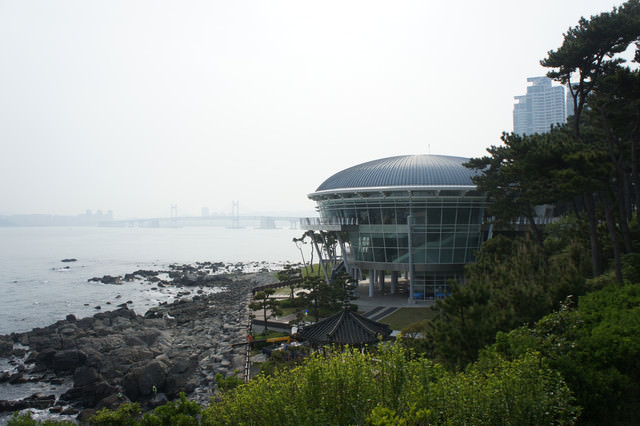 【釜山-冬柏站】一覽釜山絕美麗景緻的 冬柏島(山茶花島) & 極具政治意義的 APEC世峰樓