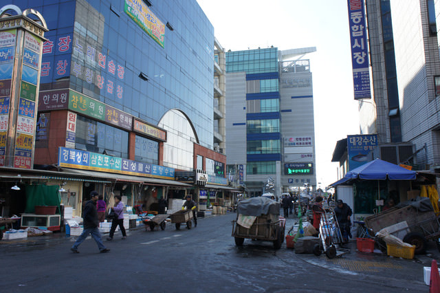 【釜山-札嗄其站】釜山最大漁港 & 海鮮市場 – 자갈치시장札嗄其市場 (+隱藏版 賞海景點)